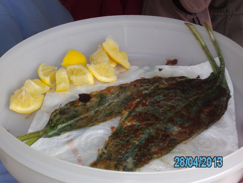 Beignets de consoude 001